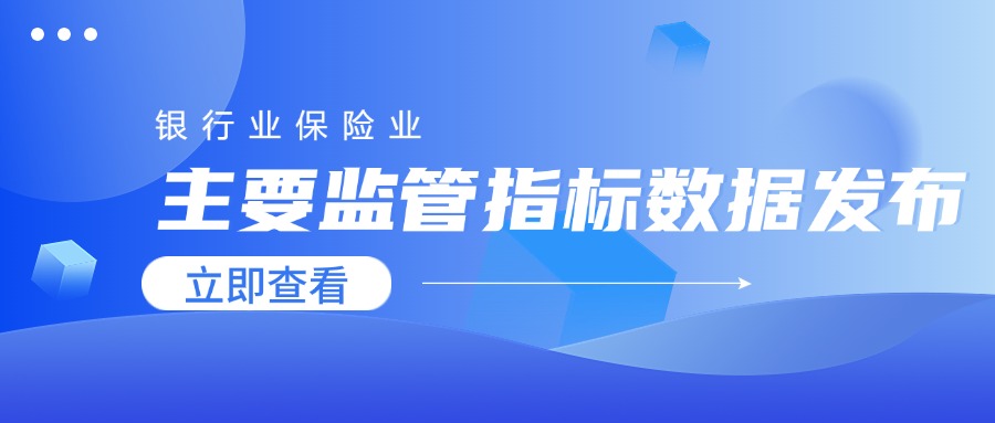 2024 年四季度银行业保险业主要监管指标数据发布